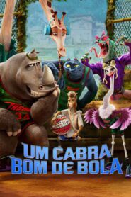 Um Cabra Bom de Bola