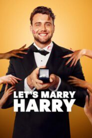 Harry Quer Casar